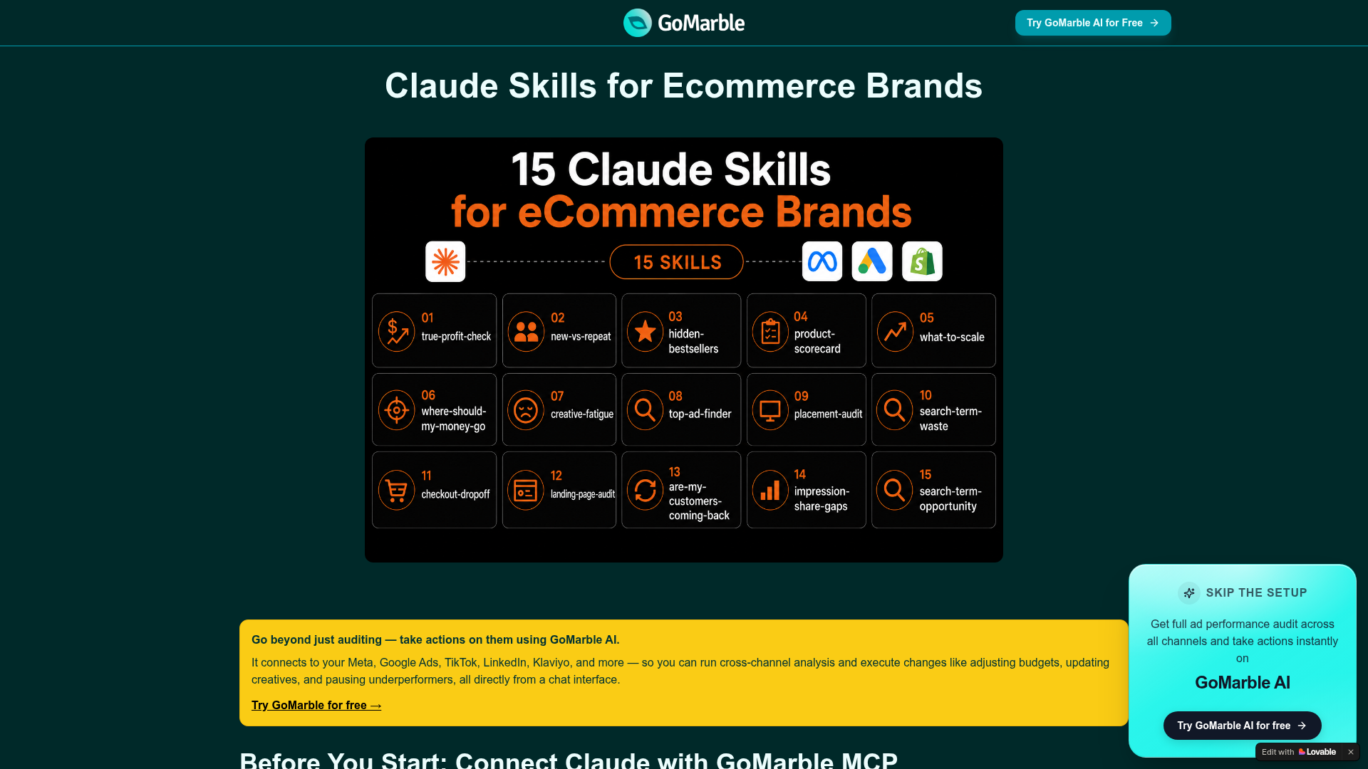 Claude Skills for Ecommerce Brands preview